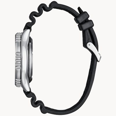 Promaster Dive Automatic